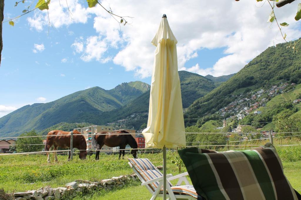 Casa Rosmarino Βίλα Gordola Εξωτερικό φωτογραφία